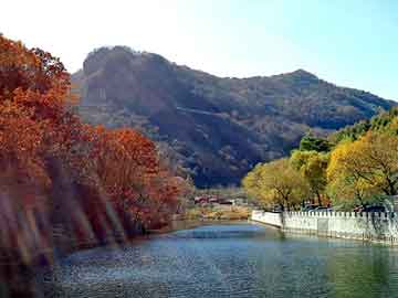 新澳天天开奖资料大全旅游团，奖牌加工